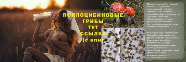 COCAINE Алзамай