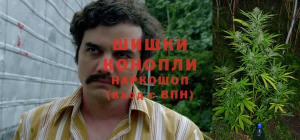 стафф Алексин