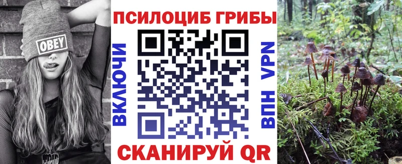 Псилоцибиновые грибы GOLDEN TEACHER  что такое наркотик  Алексеевка 